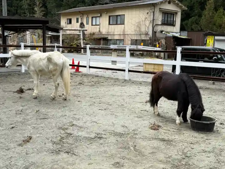 丹生川上神社(下社)の{uncategorized: "未分類", other: "その他", undefined: "問題あり", building: "その他建物", grave: "お墓", sacred_gate: "鳥居", guardian: "狛犬", statue: "像", buddha: "仏像", history: "歴史", nature: "自然", garden: "庭園", animal: "動物", pagoda: "塔", temizu: "手水舎", mountain_gate: "山門・神門", sanctuary: "本殿・本堂", subordinate: "末社・摂社", art: "芸術", scenery: "景色", jizo: "地蔵", ema: "絵馬", goshuin: "御朱印", omikuji: "おみくじ", items: "授与品その他", amulet: "お守り", goshuincho: "御朱印帳", eats: "食事", festival: "お祭り", votive_dance: "神楽", shichigosan: "七五三参", wedding: "結婚式", experience: "体験その他", initially: "初詣", around: "周辺", anti_infection: "感染症対策"}