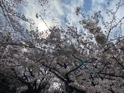 法華経寺の自然