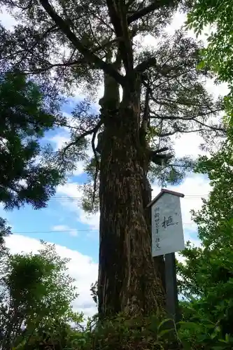 葛城一言主神社の自然