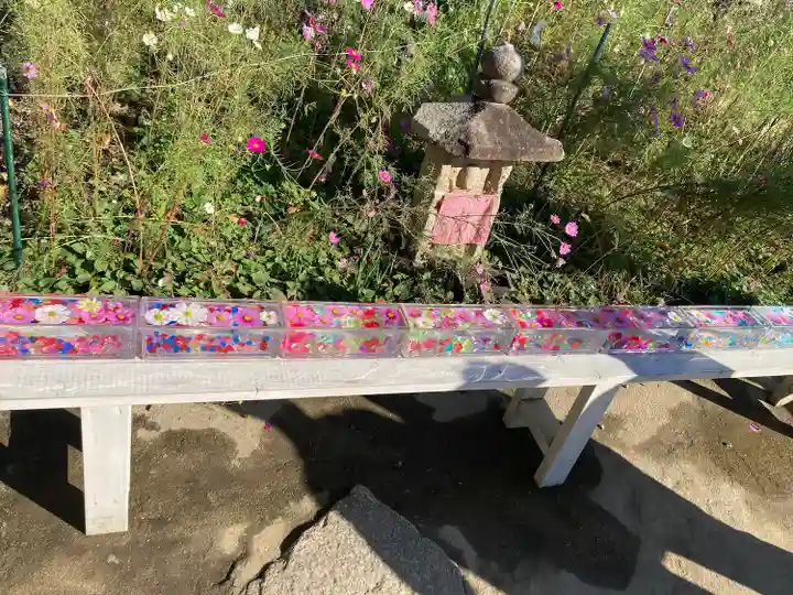 般若寺 ❁コスモス寺❁(奈良県)