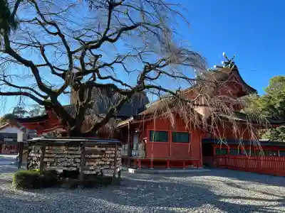 富士山本宮浅間大社(静岡県)