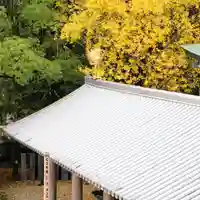 温泉山 安楽寺(四国霊場第六番札所)のその他建物