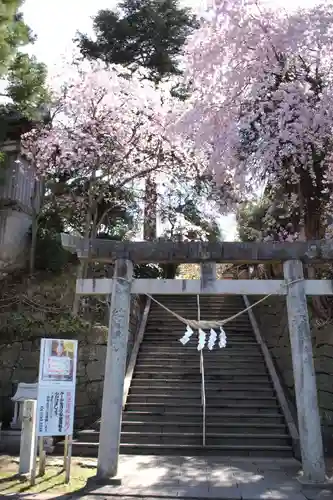 太平山三吉神社総本宮の鳥居