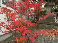 彌彦神社 (伊夜日子神社)の自然