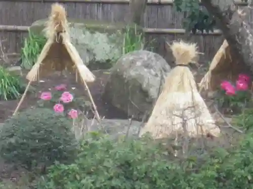 鶴岡八幡宮の庭園