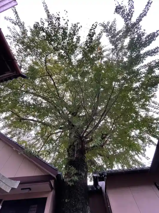 貴船神社の自然