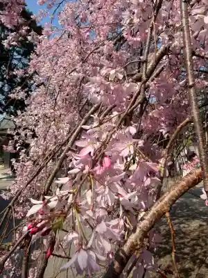 太道教本部の{uncategorized: "未分類", other: "その他", undefined: "問題あり", building: "その他建物", grave: "お墓", sacred_gate: "鳥居", guardian: "狛犬", statue: "像", buddha: "仏像", history: "歴史", nature: "自然", garden: "庭園", animal: "動物", pagoda: "塔", temizu: "手水舎", mountain_gate: "山門・神門", sanctuary: "本殿・本堂", subordinate: "末社・摂社", art: "芸術", scenery: "景色", jizo: "地蔵", ema: "絵馬", goshuin: "御朱印", omikuji: "おみくじ", items: "授与品その他", amulet: "お守り", goshuincho: "御朱印帳", eats: "食事", festival: "お祭り", votive_dance: "神楽", shichigosan: "七五三参", wedding: "結婚式", experience: "体験その他", initially: "初詣", around: "周辺", anti_infection: "感染症対策"}