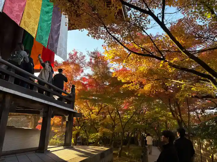 禅林寺(永観堂)(京都府)