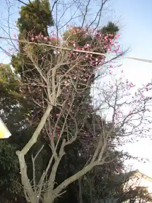 大生郷天満宮(茨城県)