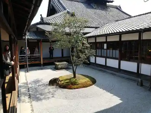 建仁寺（建仁禅寺）の庭園