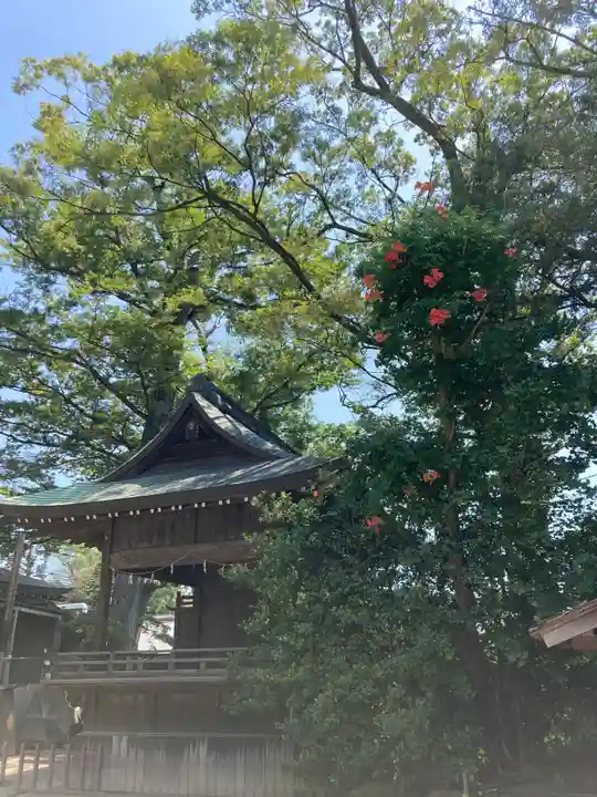 越ヶ谷久伊豆神社(埼玉県)