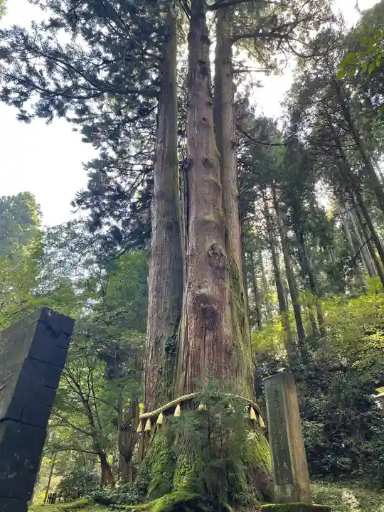 御岩神社の自然