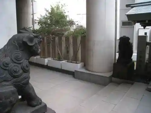 築土神社の狛犬