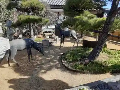 最明寺(埼玉県)