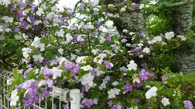 浄土寺(愛媛県)