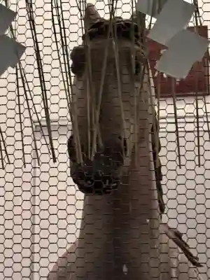 京都ゑびす神社の{uncategorized: "未分類", other: "その他", undefined: "問題あり", building: "その他建物", grave: "お墓", sacred_gate: "鳥居", guardian: "狛犬", statue: "像", buddha: "仏像", history: "歴史", nature: "自然", garden: "庭園", animal: "動物", pagoda: "塔", temizu: "手水舎", mountain_gate: "山門・神門", sanctuary: "本殿・本堂", subordinate: "末社・摂社", art: "芸術", scenery: "景色", jizo: "地蔵", ema: "絵馬", goshuin: "御朱印", omikuji: "おみくじ", items: "授与品その他", amulet: "お守り", goshuincho: "御朱印帳", eats: "食事", festival: "お祭り", votive_dance: "神楽", shichigosan: "七五三参", wedding: "結婚式", experience: "体験その他", initially: "初詣", around: "周辺", anti_infection: "感染症対策"}