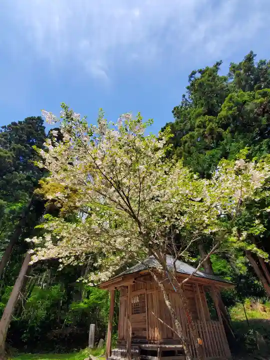 磐椅神社の自然