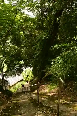 川崎神社(愛媛県)