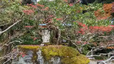 醍醐寺(京都府)