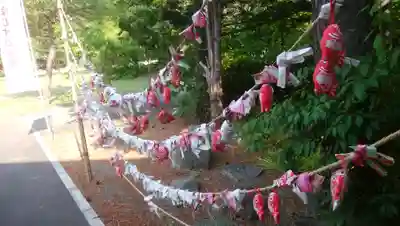 多賀神社のおみくじ
