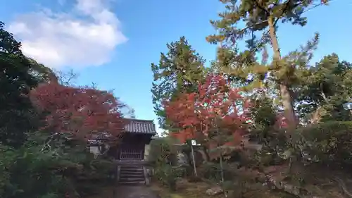 唐招提寺の景色