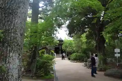 浄瑠璃寺のその他建物