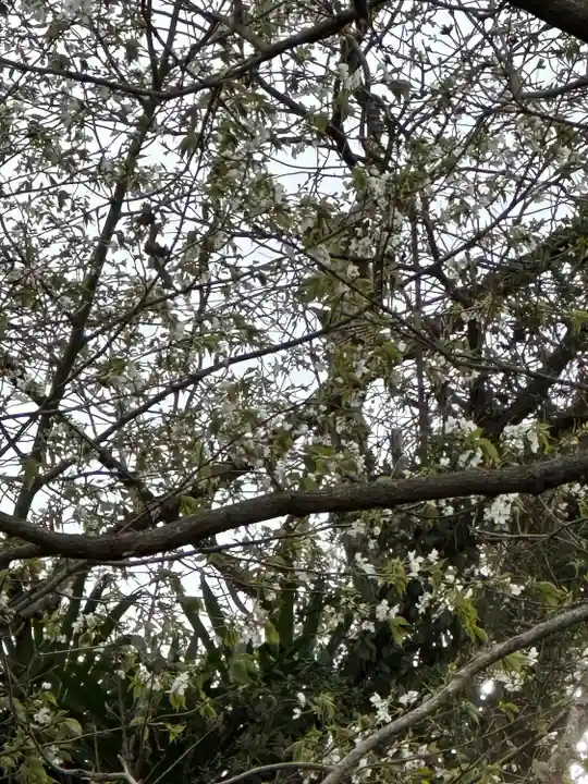 黙仙寺(神奈川県)