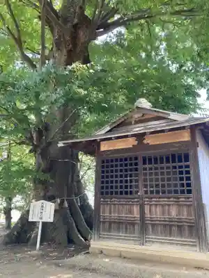 大桑神社(茨城県)