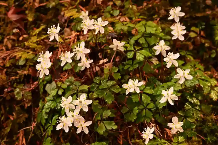 金峰神社(高知県)