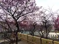 半城土天満神社(愛知県)