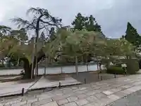 三宝院(三宝院門跡)(京都府)