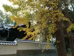 三嶋神社の建物その他