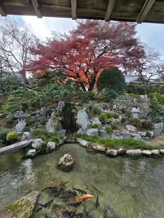 滋賀院門跡(滋賀県)