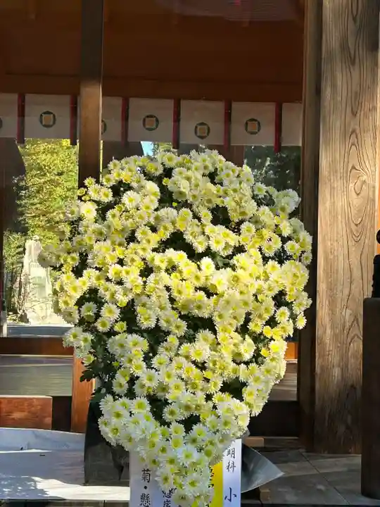 穂高神社本宮(長野県)