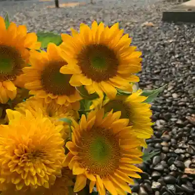 滑川神社 - 仕事と子どもの守り神(福島県)