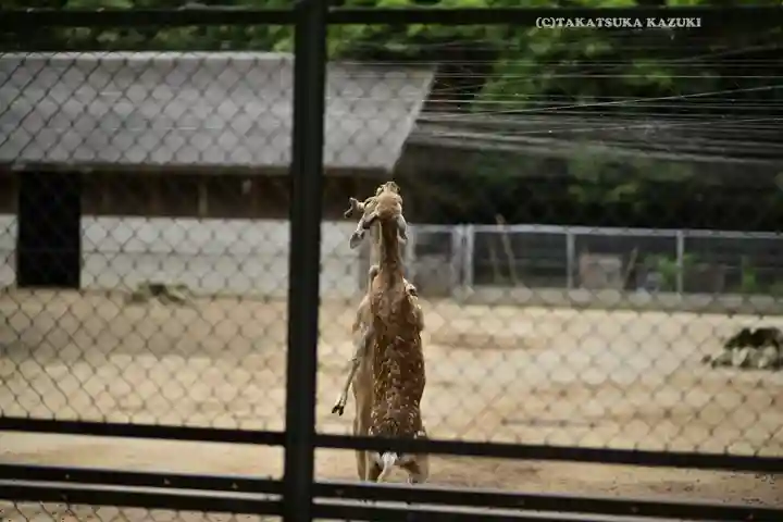 鹿島神宮(茨城県)