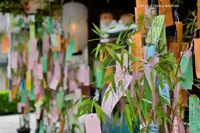 櫻木神社(千葉県)