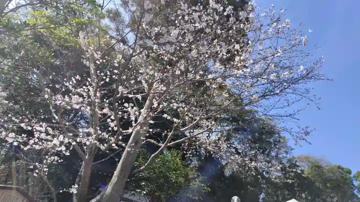 出雲大神宮(京都府)