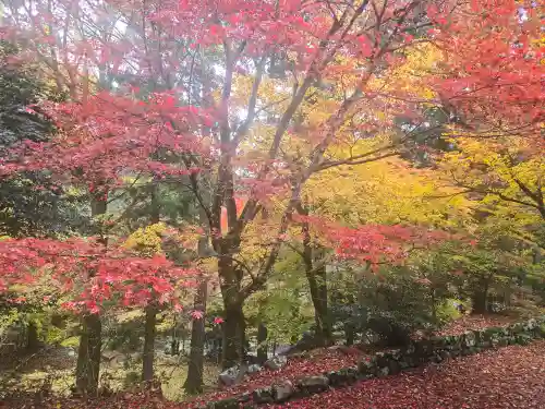 葛川息障明王院(滋賀県)
