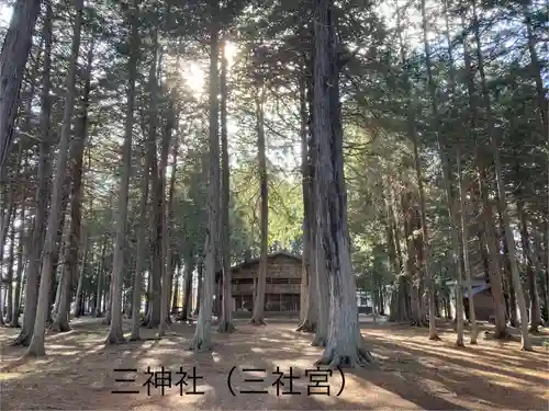 三神社(長野県)