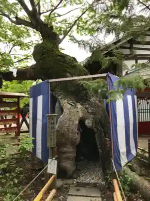 生島足島神社(長野県)