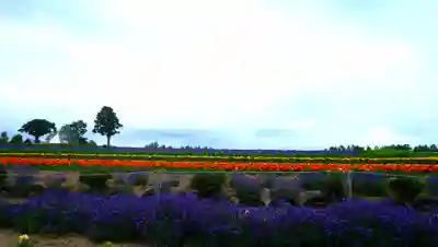美沢神社の周辺
