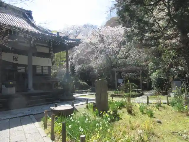 安國論寺(安国論寺)の景色
