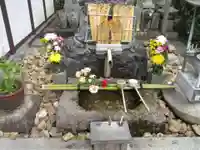 退蔵院の手水舎