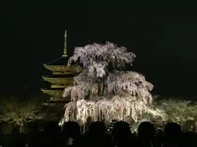 東寺（教王護国寺）(京都府)