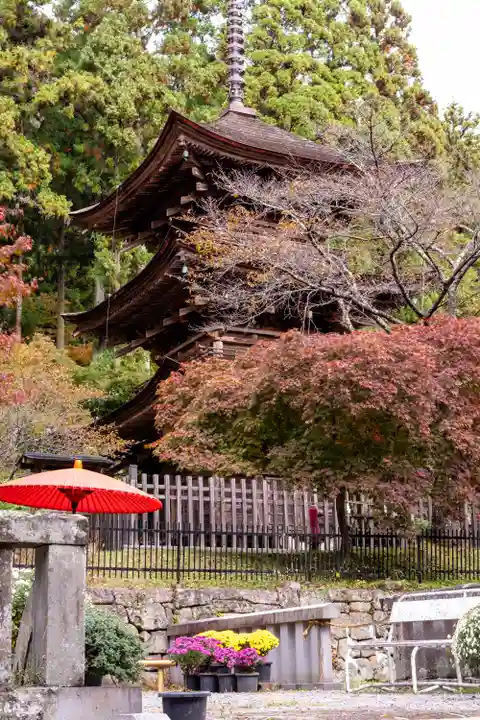 新海三社神社(長野県)