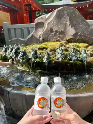 九頭龍神社新宮(神奈川県)