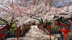 六孫王神社(京都府)