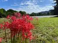 大覚寺(京都府)