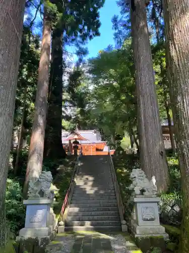 須山浅間神社の狛犬